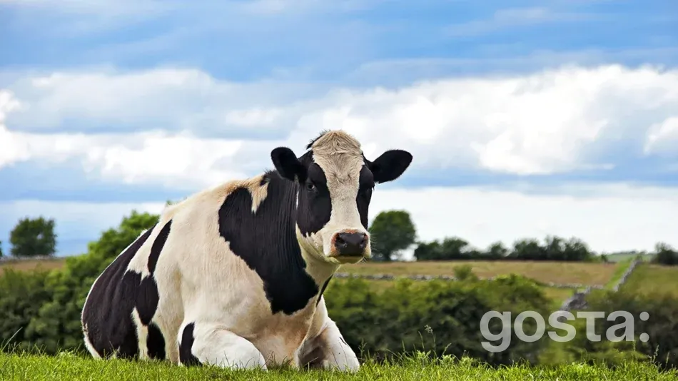 Яке свято 2 жовтня 2024 року в світі