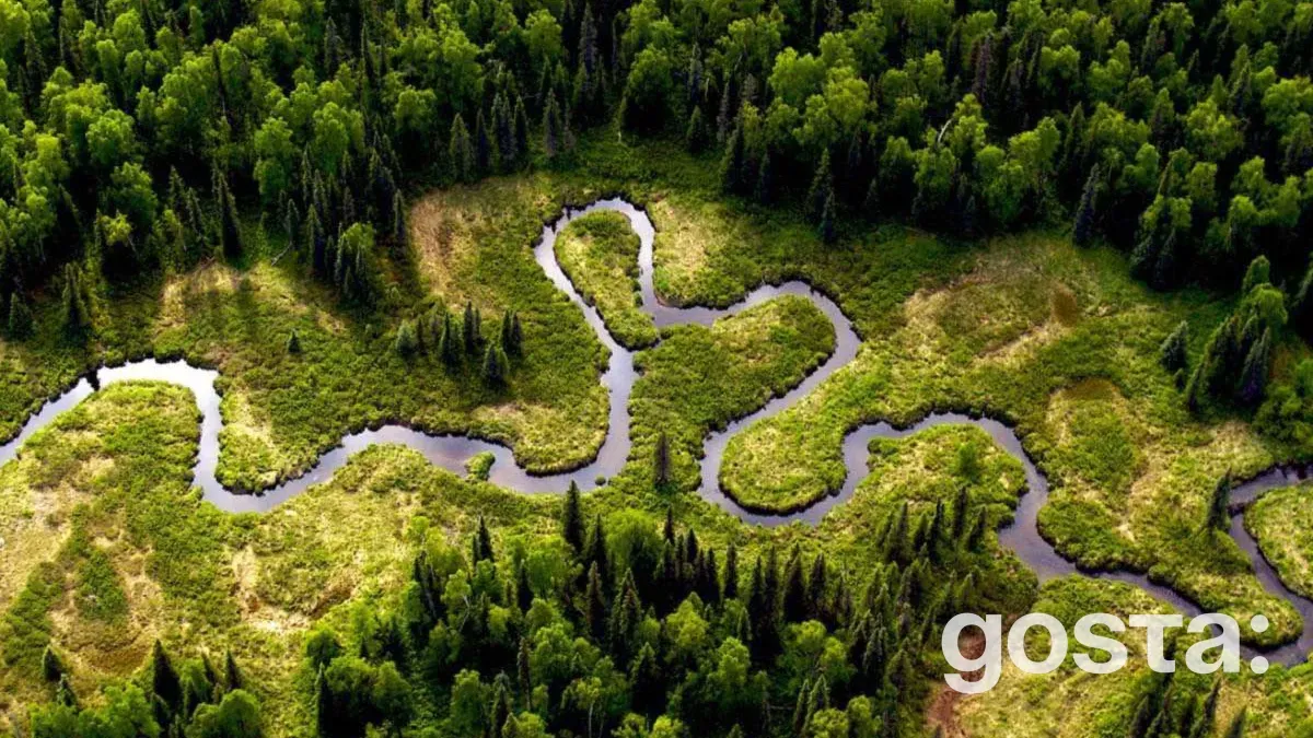 What You Need to Know About the Amazon River