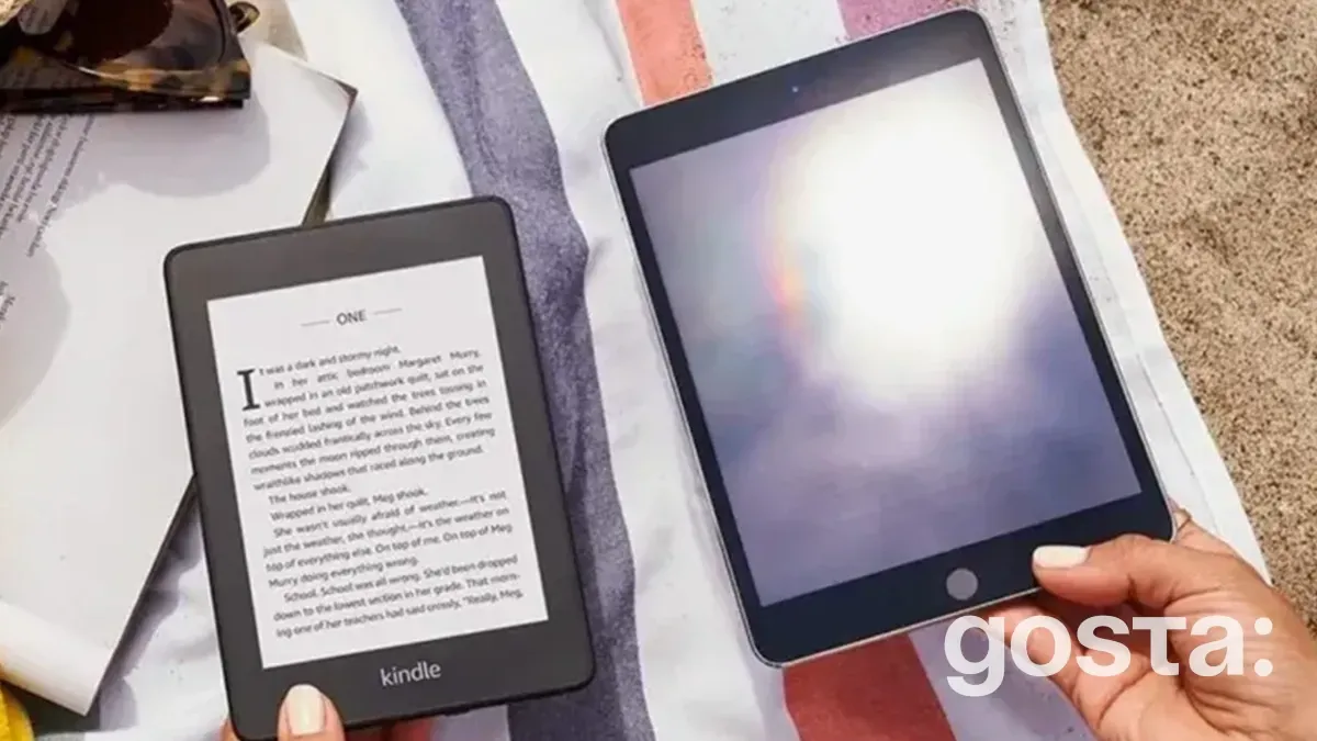 How to choose an e-book reader and which readers are considered the best