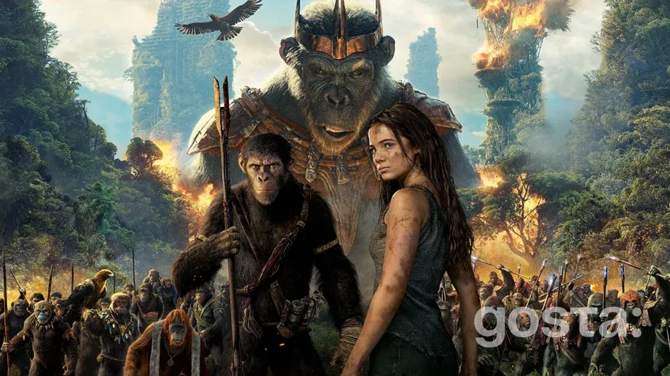 10 кращих бойовиків 2024 року