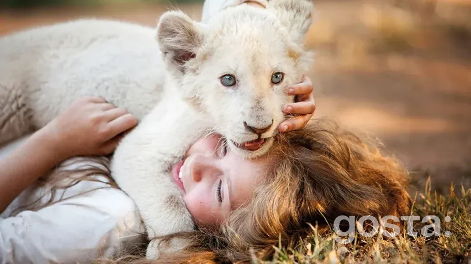 Mia and the White Lion – A wonderful adventure film for kids and adults