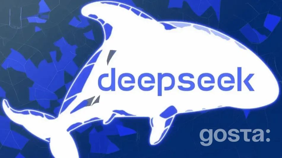 DeepSeek – A New Chinese Chatbot