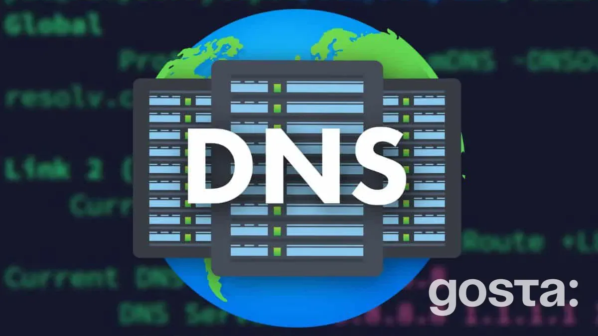 What is a DNS server