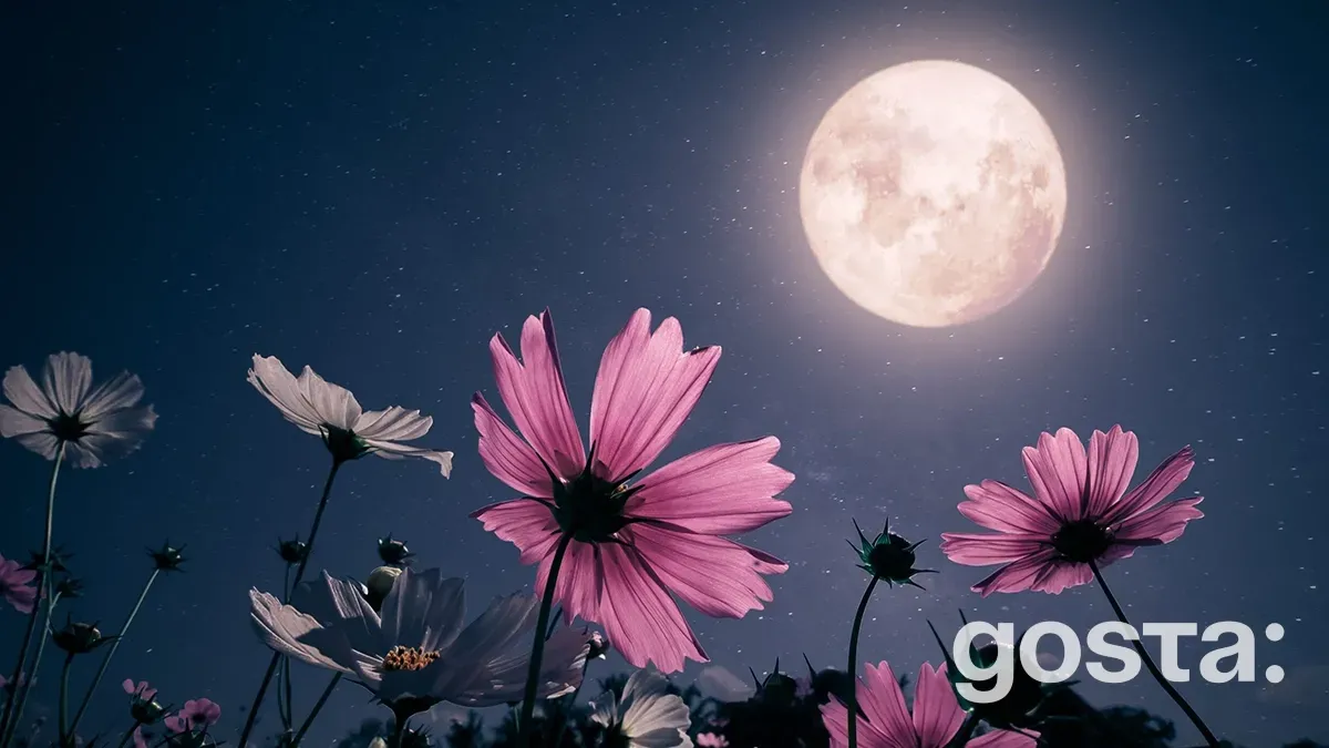 Lunar Calendar for August 2025