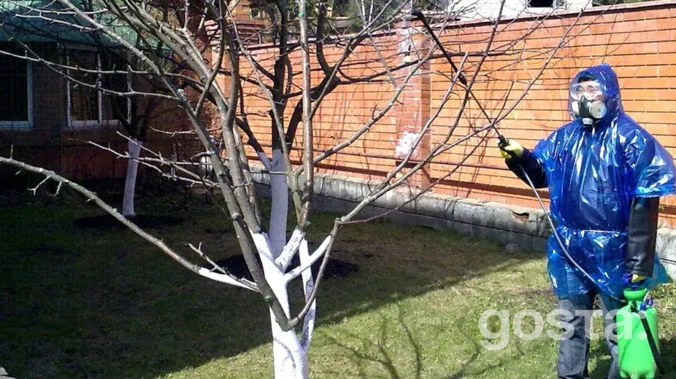 Lunar Calendar For March For Gardeners