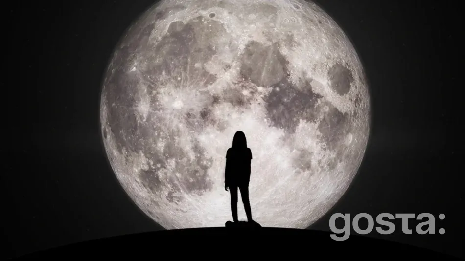 Lunar Calendar for 2025