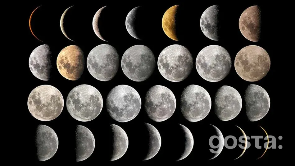 Місячний календар на травень 2025 посівний