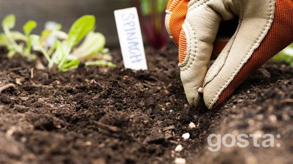 Посівний календар на квітень місяць