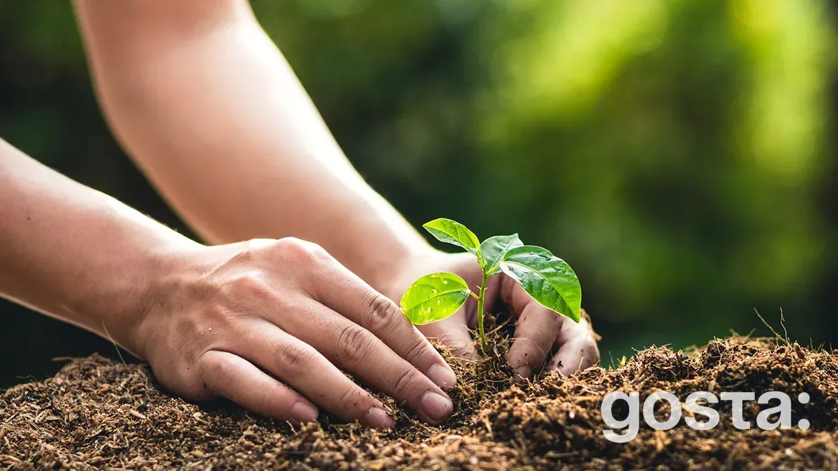 Посівний календар на травень місяць