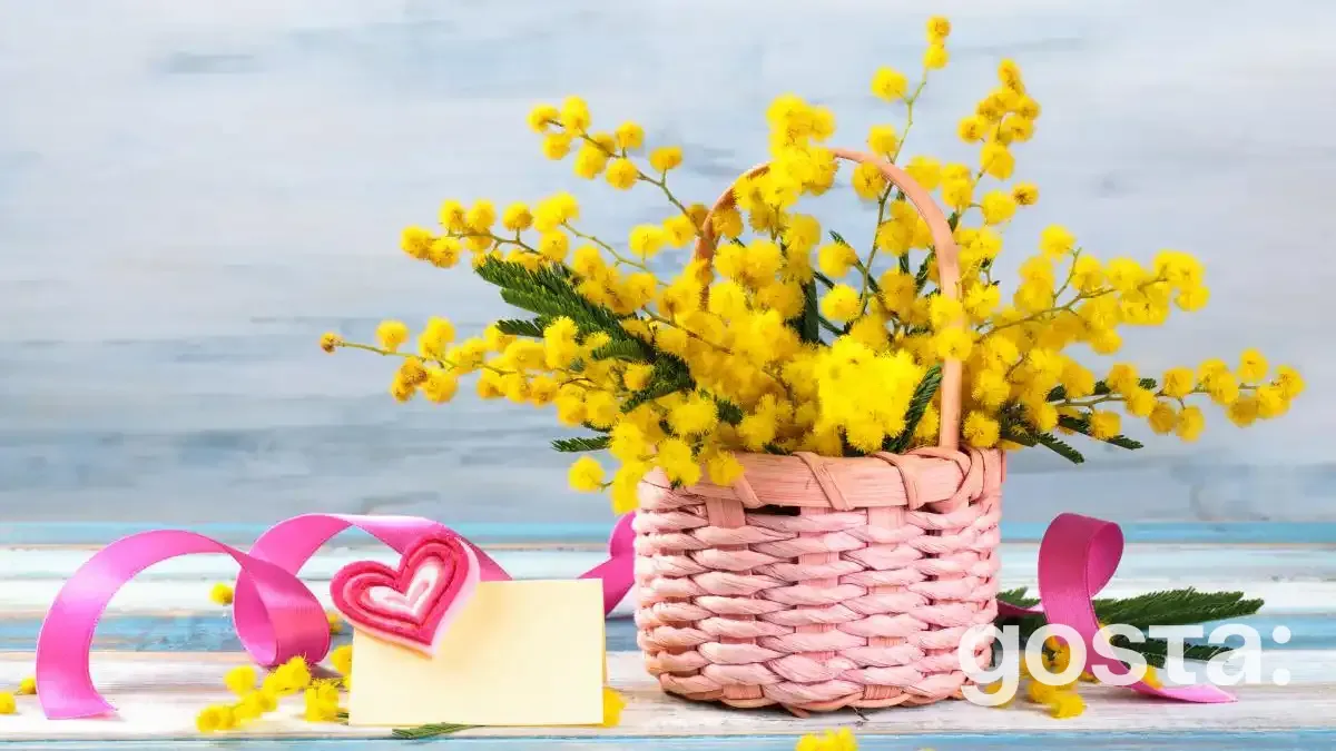 Державні свята у березні