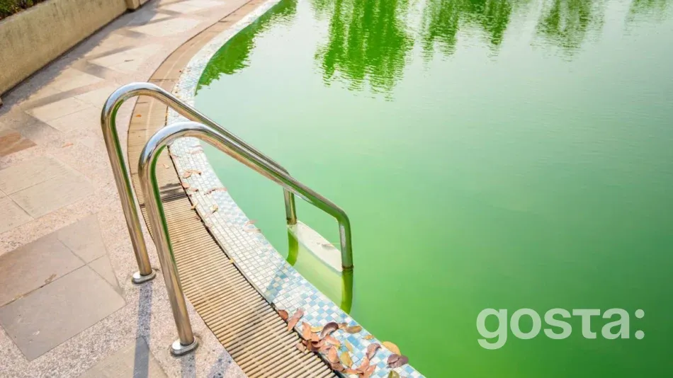 Чистий басейн без водоростей з альгіцидами AquaDoctor