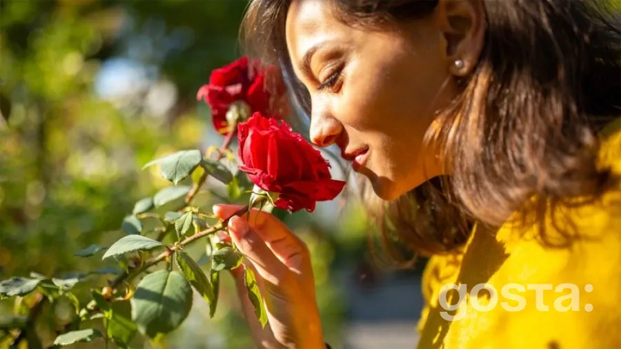 Як суспільні потрясіння впливають на нашу свідомість та як захиститися