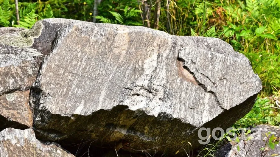 Нове відкриття кидає виклик нашому розумінню історії Землі