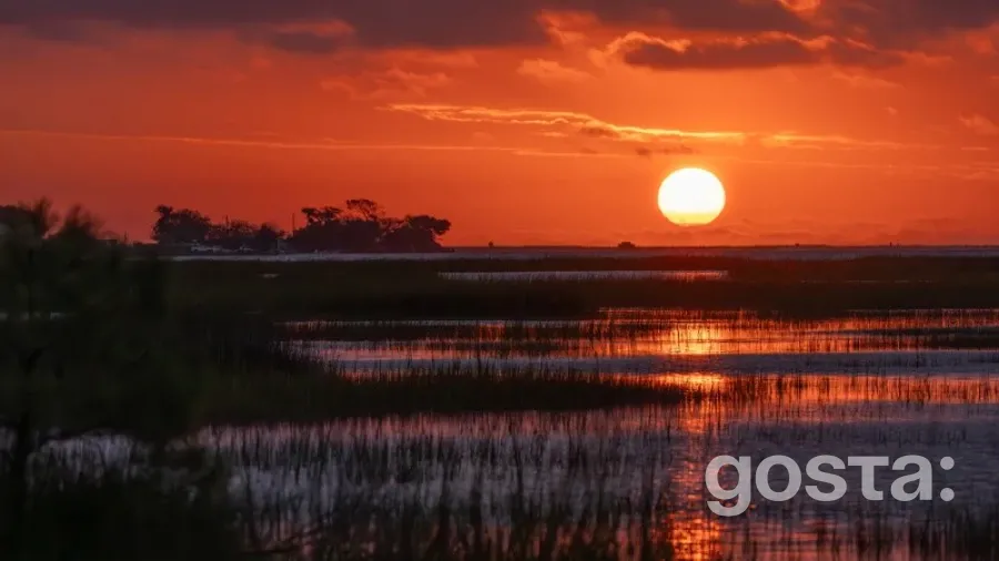 Як зростання температури впливає на викиди метану у болотистих ґрунтах