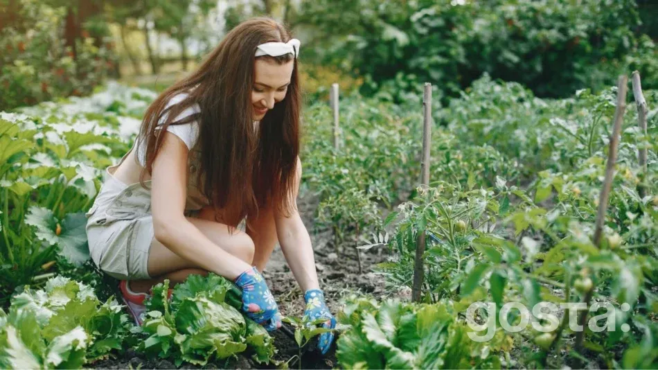 Lunar planting calendar for July 2025