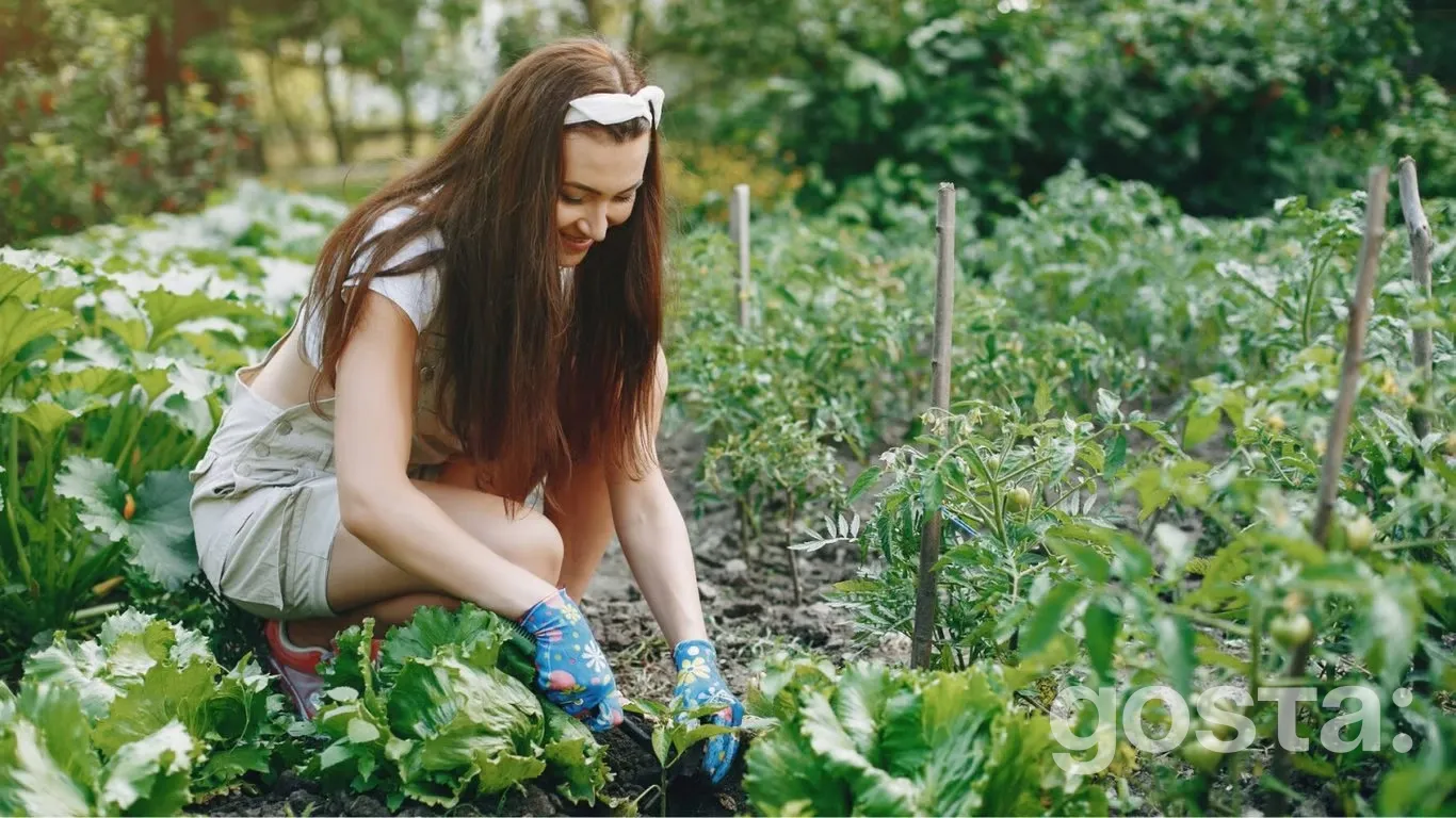 Lunar planting calendar for July 2025