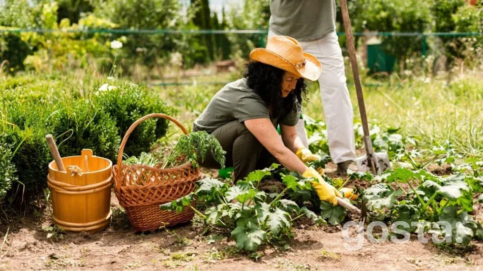 Lunar planting calendar for July