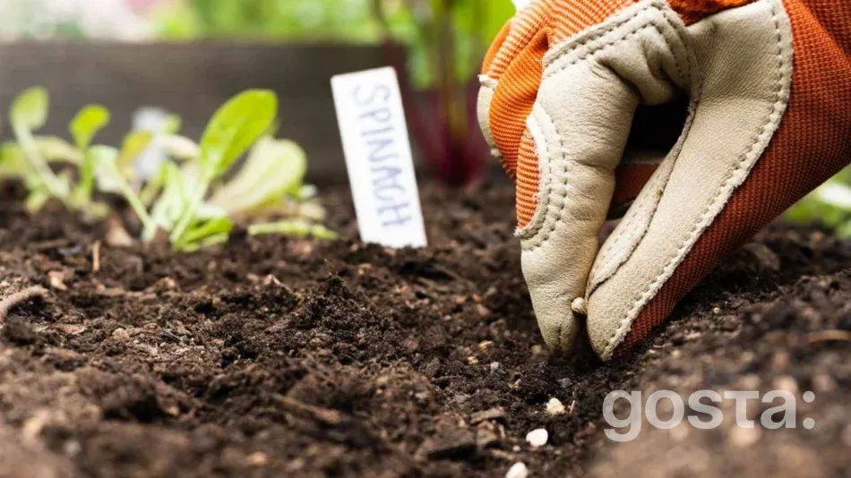 Favorable And Unfavorable Days For Planting – Moon Calendar Gardening For April 2025