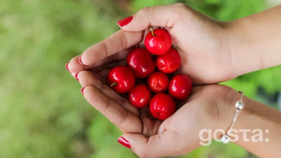 Lunar Calendar for Gardening in June – Favorable and Unfavorable Days