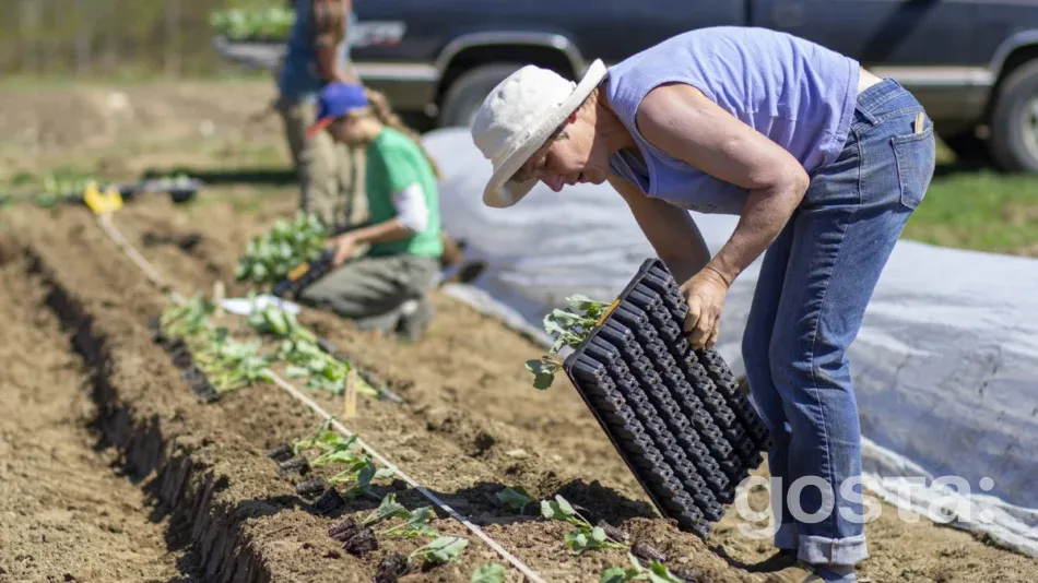The lunar calendar for gardening for May 2025