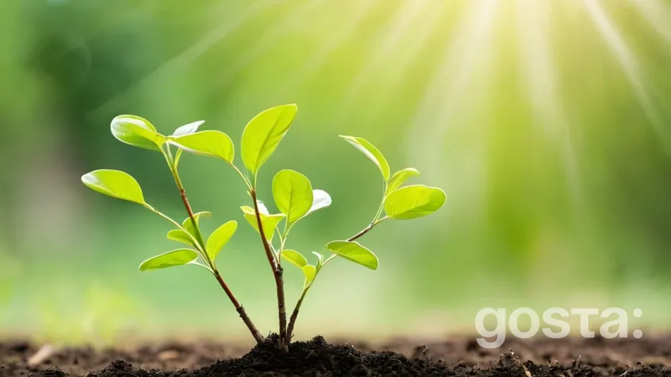 Місячний посівний календар на червень 2025