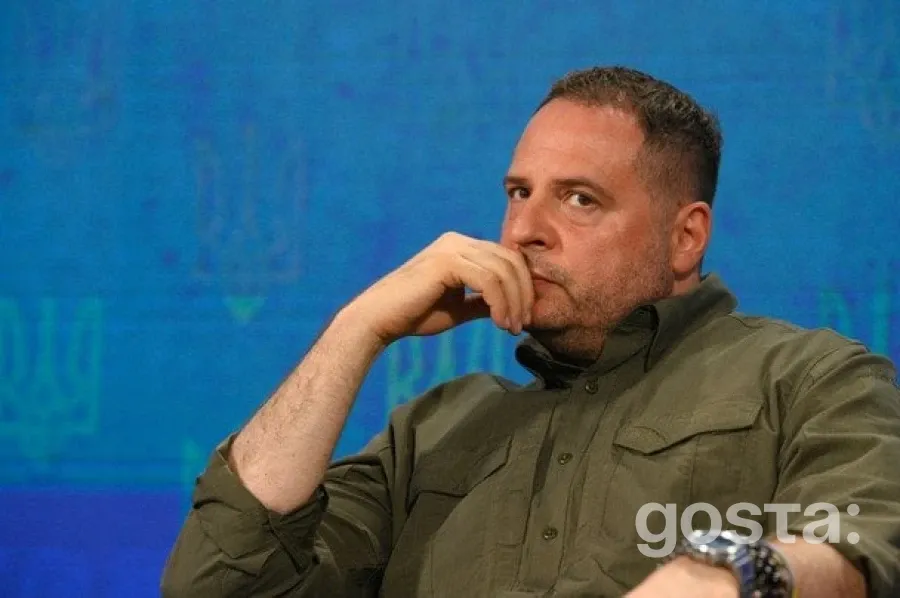 Швейцарія готова прийняти зустрічі щодо мирного врегулювання з Росією