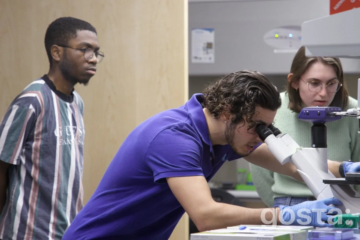 Інноваційний курс в MIT: Біомеханіка та механобіологія у дії