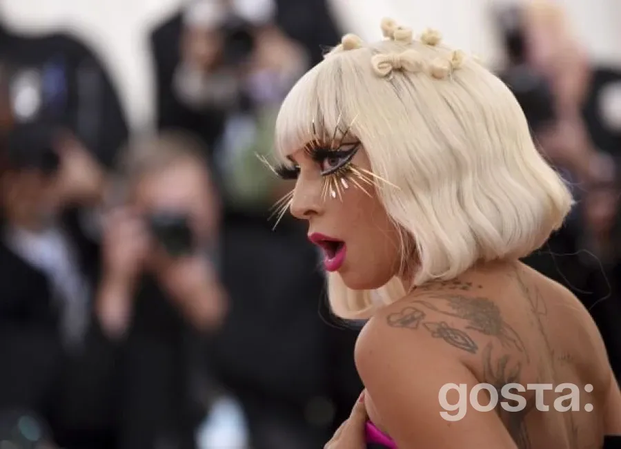 Бразильська поліція запобігла теракту на концерті Леді Гаги в Ріо