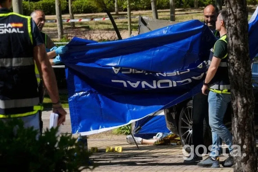 Вбивство Андрія Портнова: чи дійсно це справа рук професійного кілера?