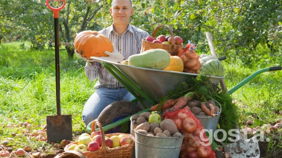 Lunar calendar for gardening for September 2025