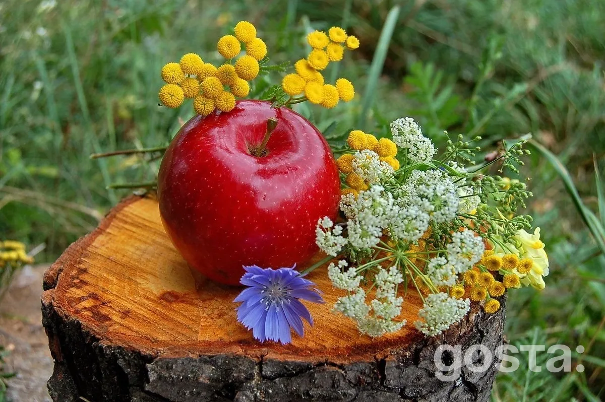Lunar calendar for gardening for August 2025
