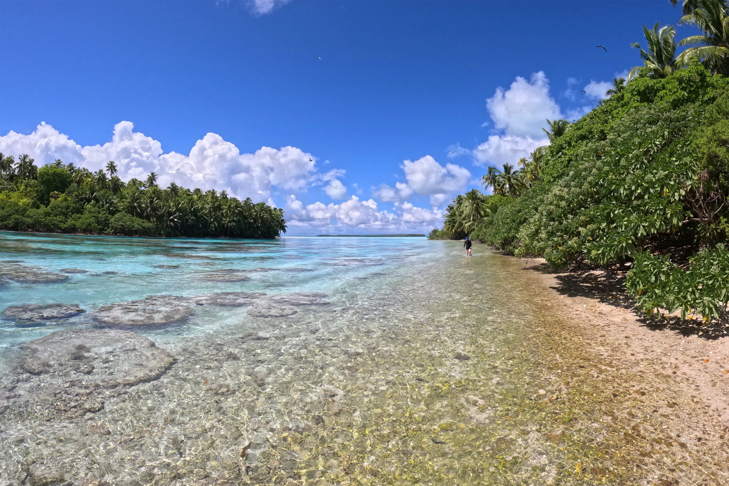 Річки формують коралові проходи: нові відкриття вчених MIT