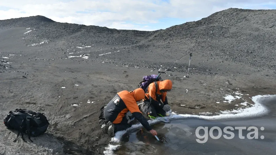 Де життя ховалося під час "Сніжної кулі Землі"? Відповідь на це питання від MIT