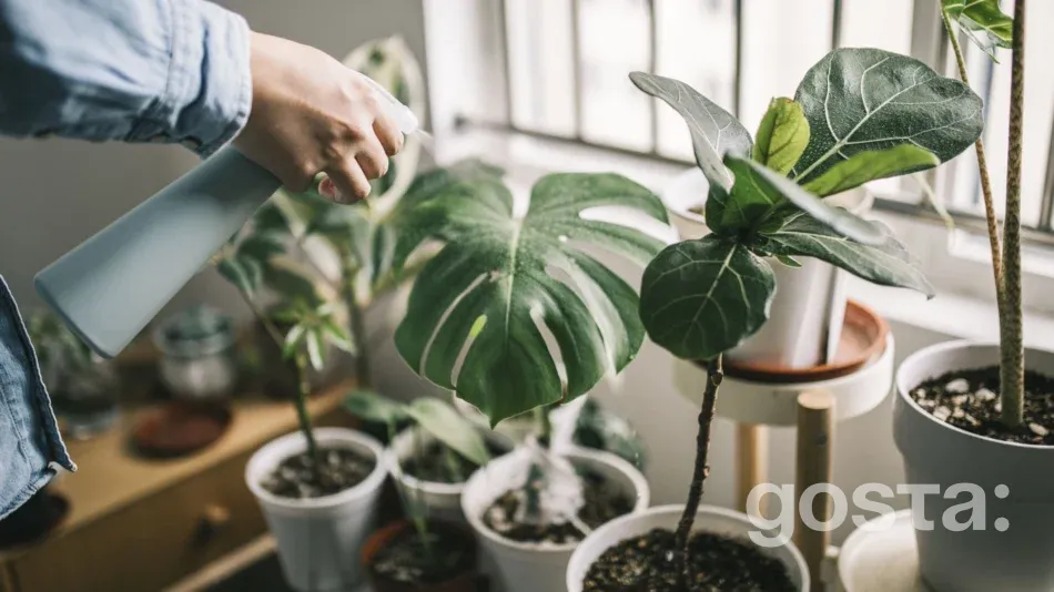 Moon Calendar Gardening for November Dates