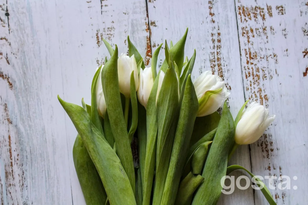 Birthday flower greeting with tulips for a friend
