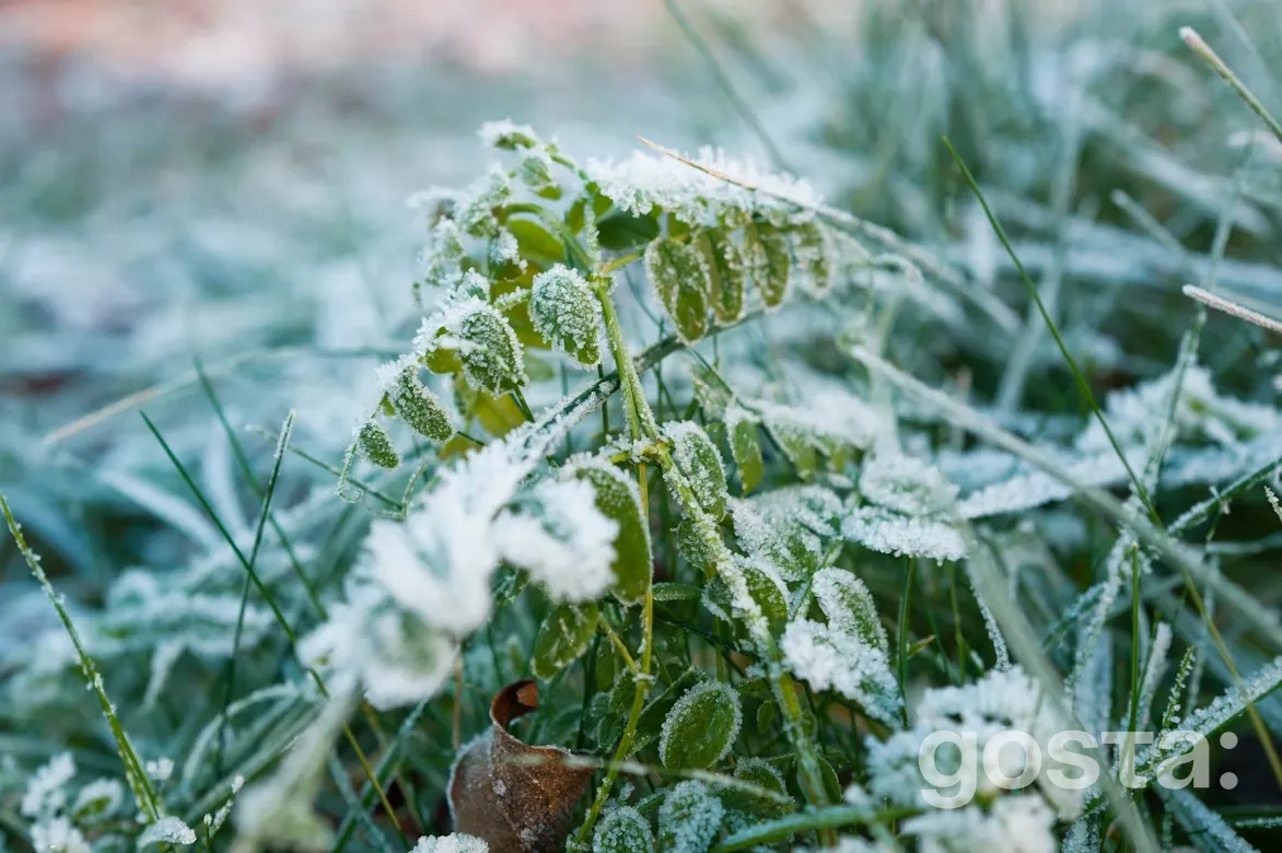 December moon calendar gardening chart