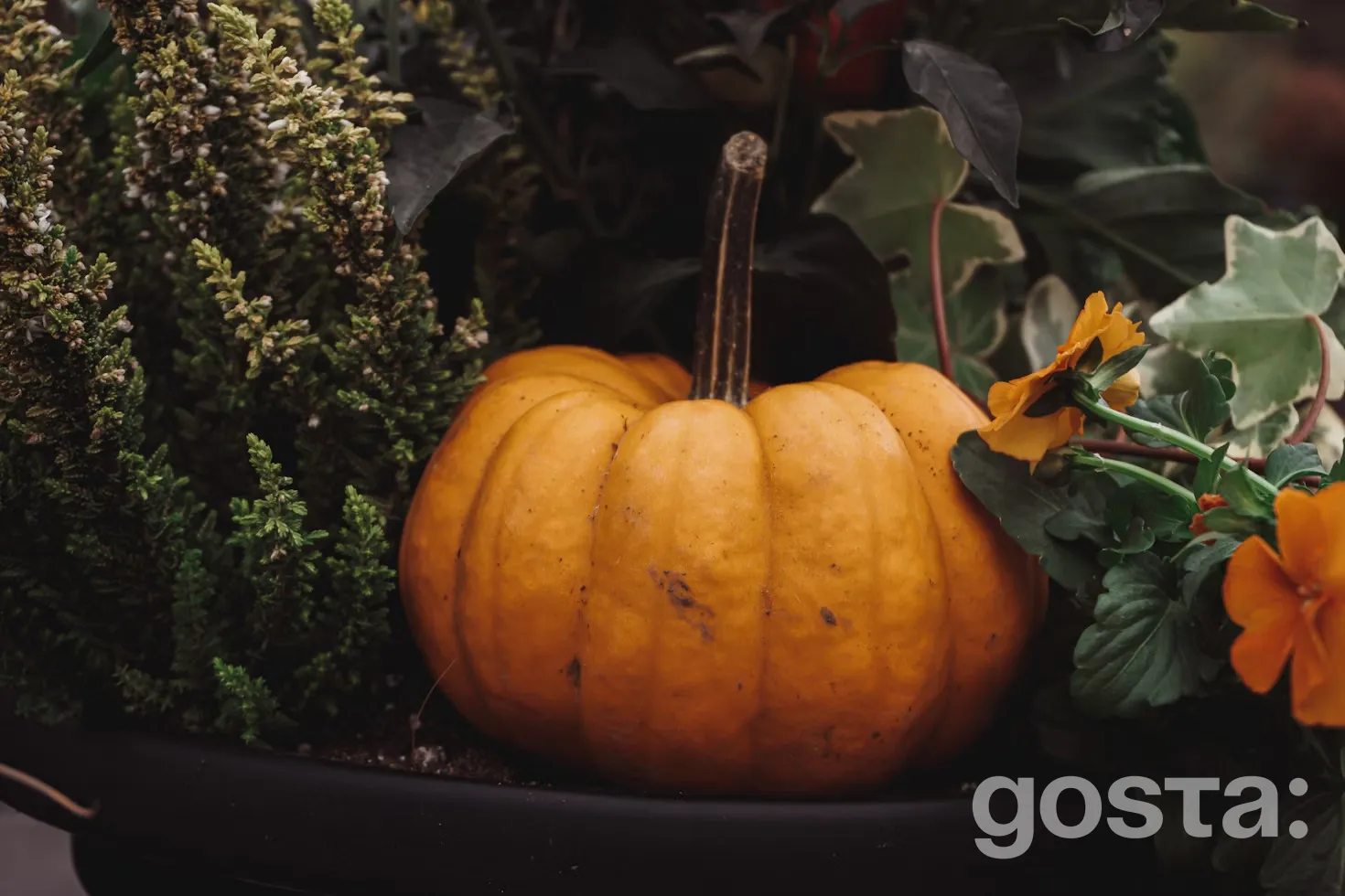 Посівний календар на жовтень місяць 2025