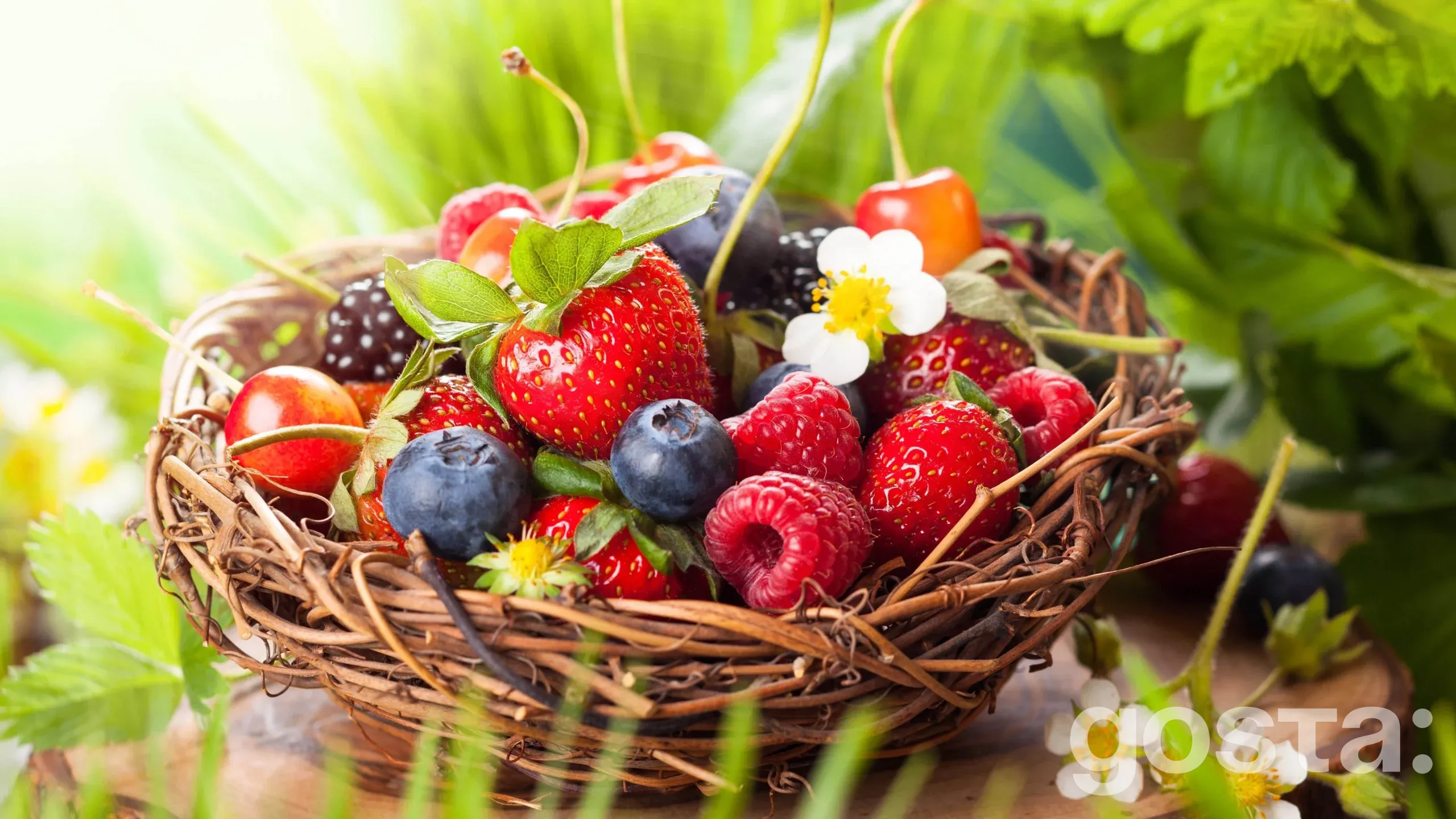 Професійні свята у липні