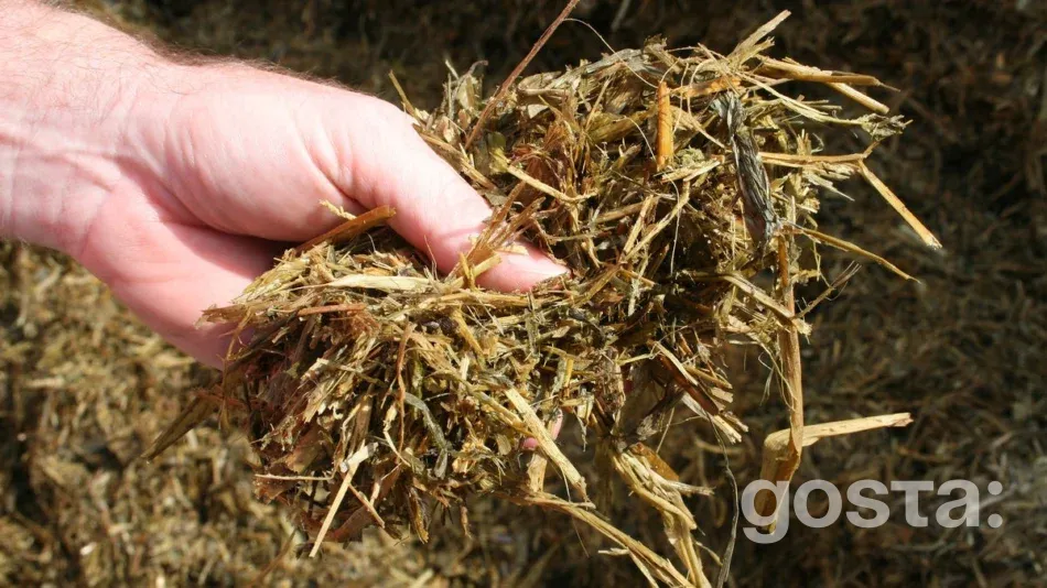 Як зберегти силос