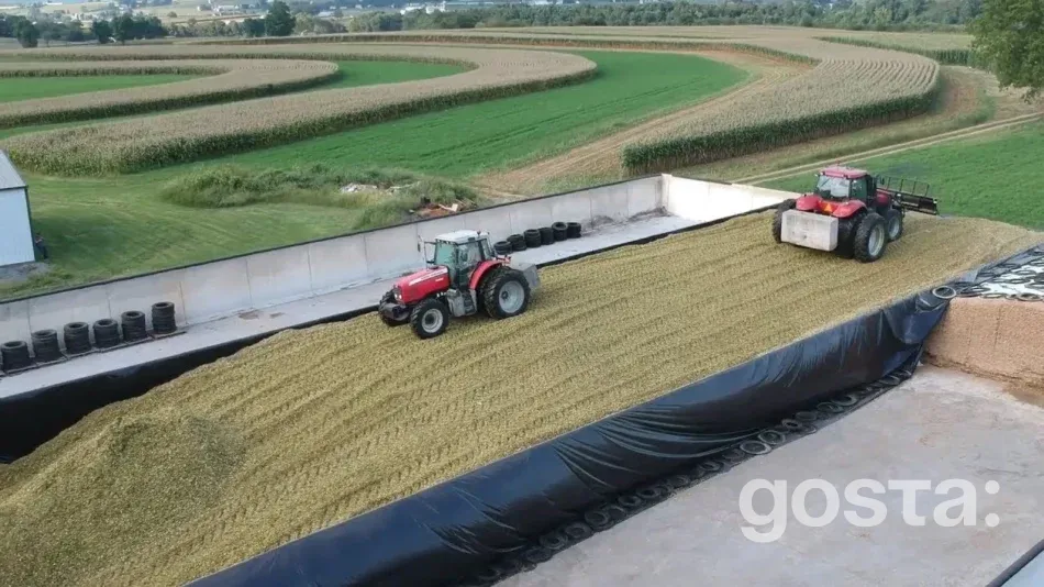 Як зберегти силос правильно