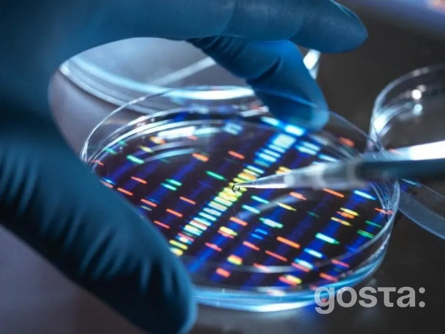 Революційний метод терапії стовбуровими клітинами: нові горизонти медицини