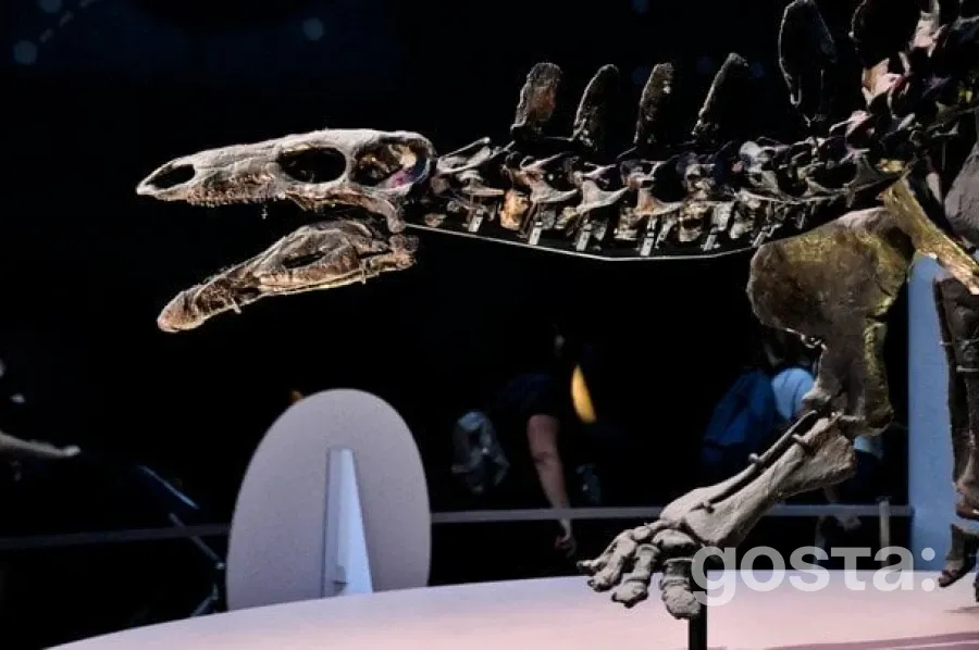 Скелет динозавра продано всемеро дорожче за стартову ціну