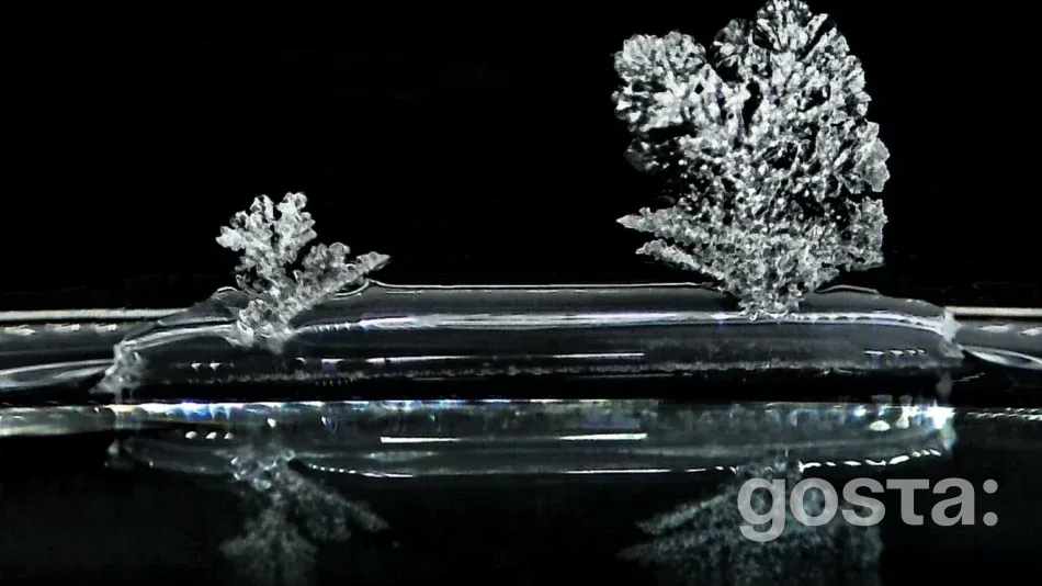 Новаторське дослідження розкриває таємниці соляного наростання