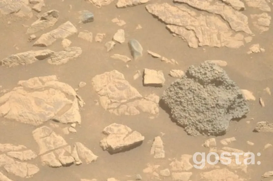 Суперечка за марсіанський метеорит: Sotheby’s проти Нігеру