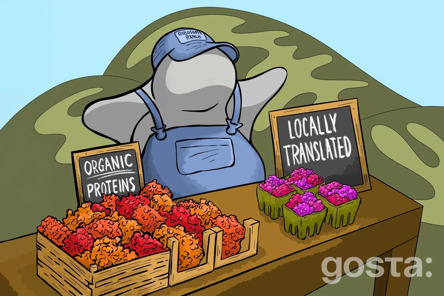 Локалізований переклад білків: новий погляд на функціонування мітохондрій