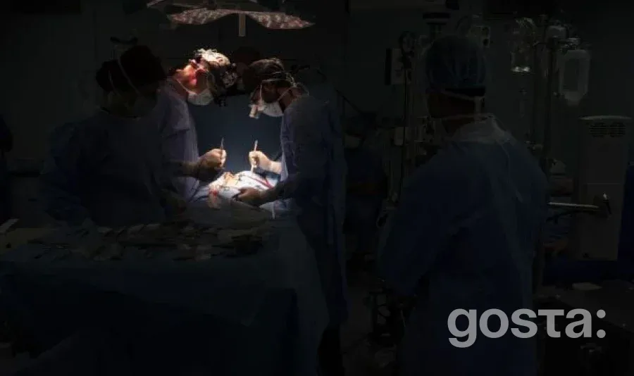 Китайські хірурги здійснили прорив: успішна пересадка генетично модифікованої легені свині людині