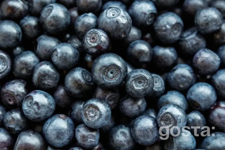 Лохина: Суперягода для вашого здоров'я