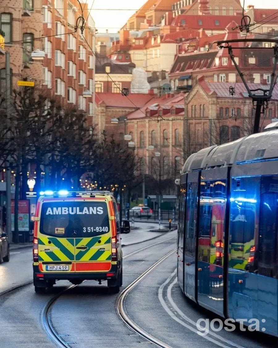 Трагедія на виступі актора Віджая: смертельна тиснява під час заходу