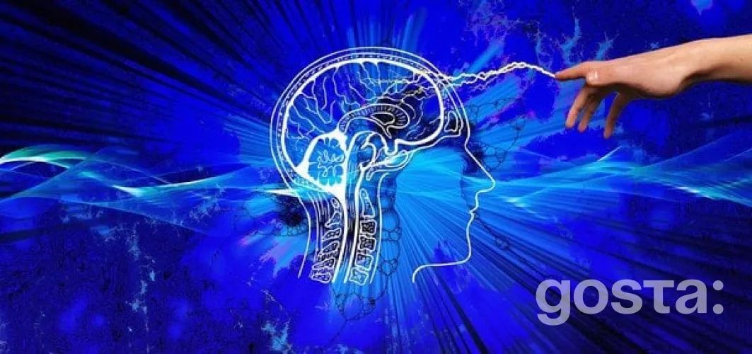 П'ять повсякденних звичок, що шкодять продуктивності мозку: думка Гарвардського викладача