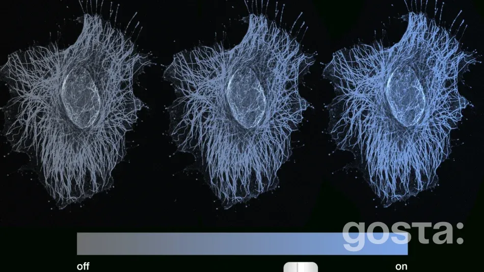 Нові горизонти в науці: клітинна пам'ять значно складніша, ніж вважалося раніше